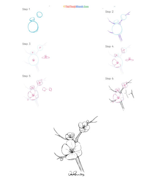 Cách vẽ hoa Anh Đào đơn giản