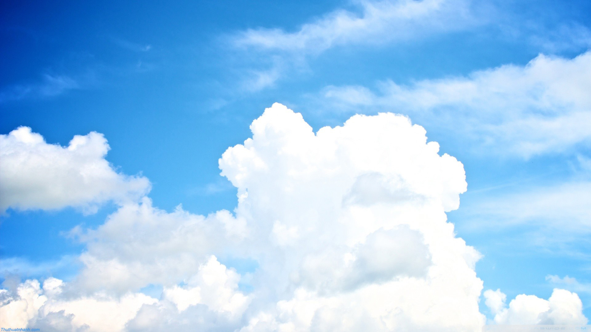 Lịch sử giá Phông nền chuyên dụng để chụp ảnh hình đám mây xanh trắng 3x5ft  cập nhật 62023  BeeCost