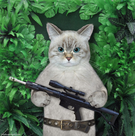 Hình ảnh Mèo FF cầm súng ngầu