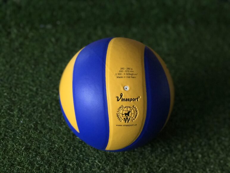 hình ảnh bóng chuyền trên sân cỏ