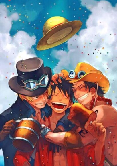 hình anh em tốt anime one piece