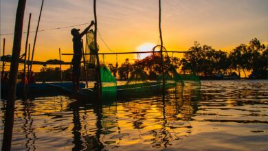 hình ảnh miền Tây