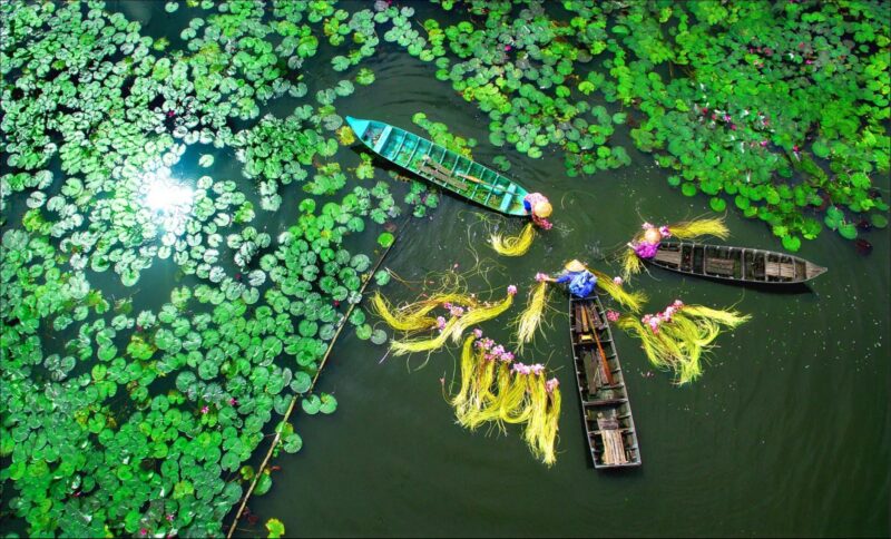 hình nền miền Tây quê hương