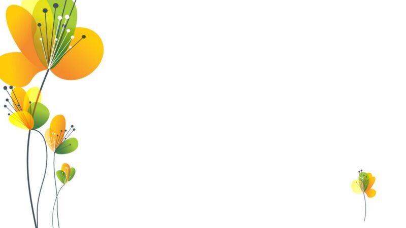 Hình nền Powerpoint đơn giản, đẹp, độc đáo nhất cho slide