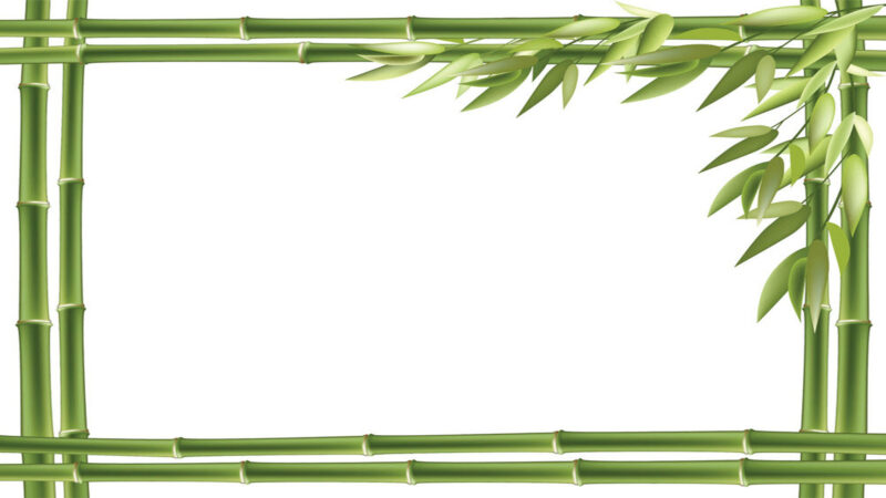 Hình nền Powerpoint đơn giản mà tinh tế