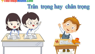 Trân trọng hay chân trọng