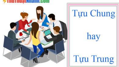 tựu trung hay tựu chung