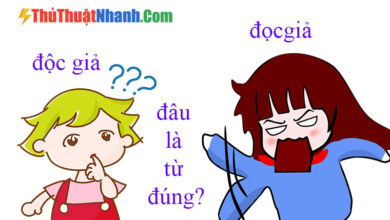 Độc Giả hay Đọc Giả