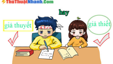 Giả Thuyết hay Giả Thiết