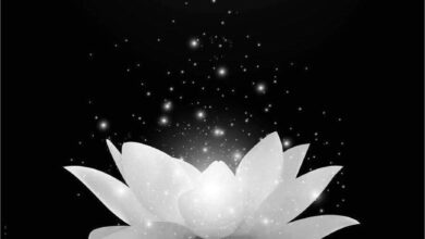 Hình ảnh avatar đen