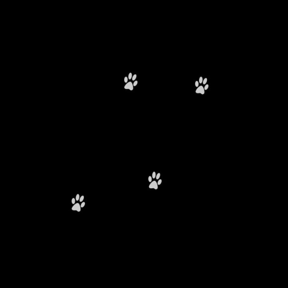 hình ảnh avatar đen dấu chân mèo