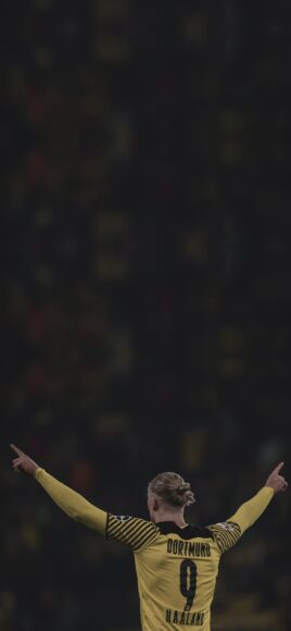 ảnh nền Erling Haaland bóng lưng