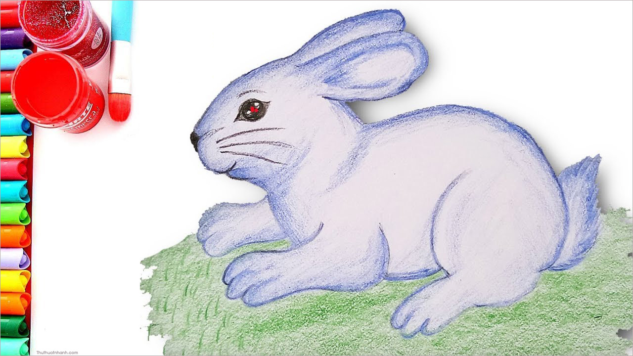 Rất Hay Cách vẽ con thỏ đơn giản cute đẹp nhất dễ thương cho bé