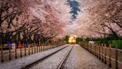 Hình ảnh Hàn Quốc