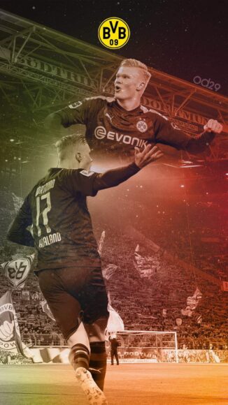 hình nền Erling Haaland chất