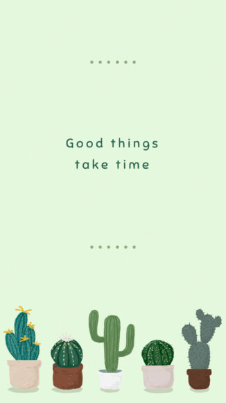 Ảnh cây xương rồng đủ loại trong chậu nhỏ