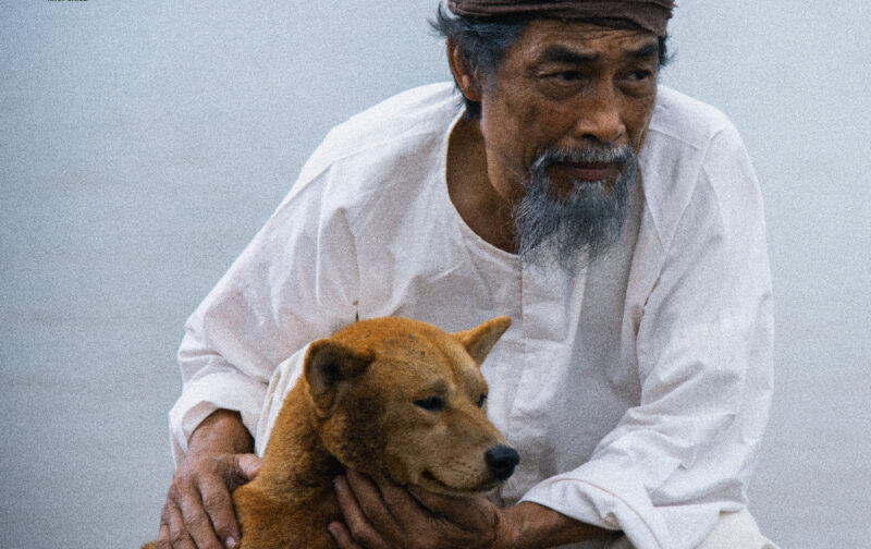 ảnh lão Hạc buồn