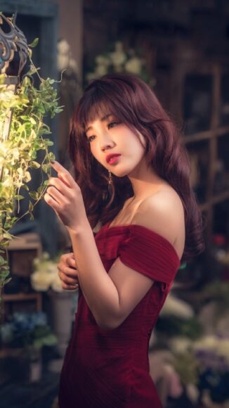 ảnh người đẹp sang trọng