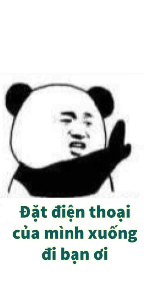 ảnh nhây gấu trúc hài