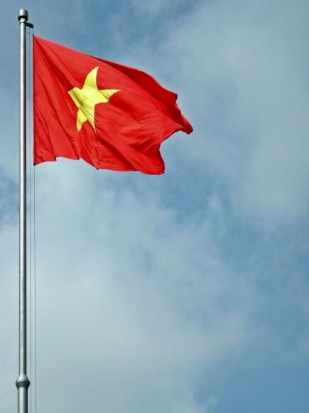 avatar Việt Nam cờ đẹp