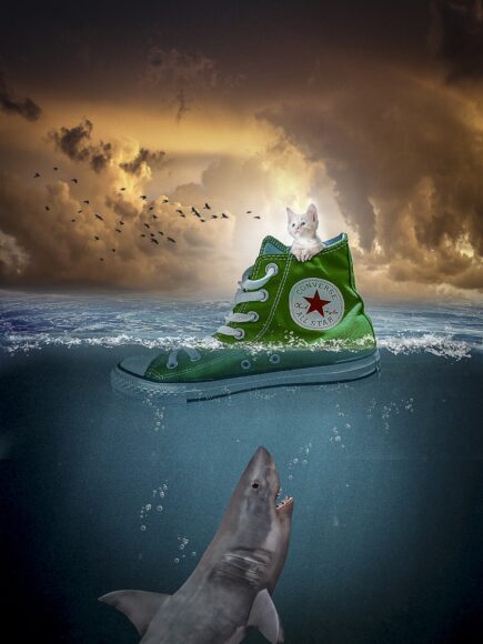 Hình ảnh cá mập 3D