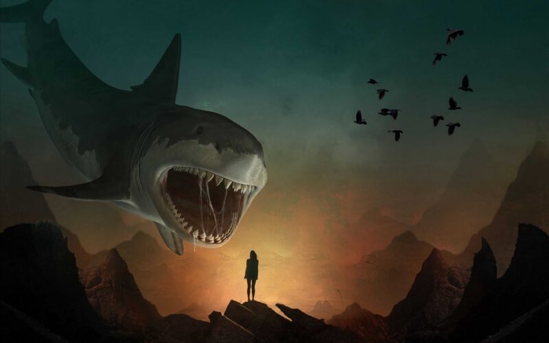 Hình ảnh cá mập trong tranh vẽ minh hoạ