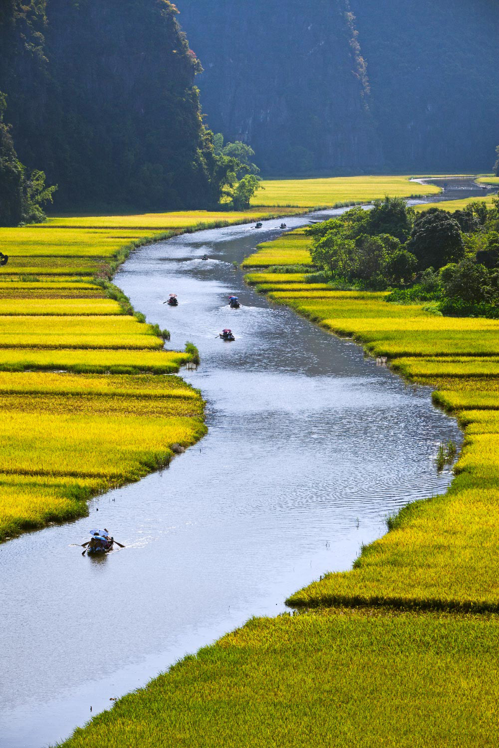 Hình Ảnh Dòng Sông Đẹp Thơ Mộng Mang Đậm Hồn Quê