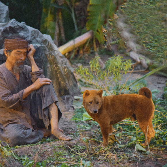 hình ảnh lão Hạc buồn khổ