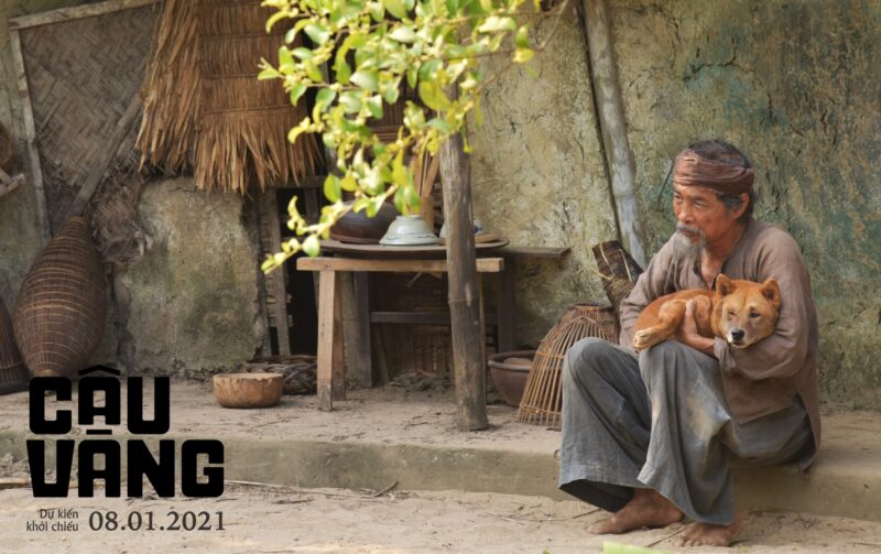 Hình ảnh Lão Hạc và cậu vàng