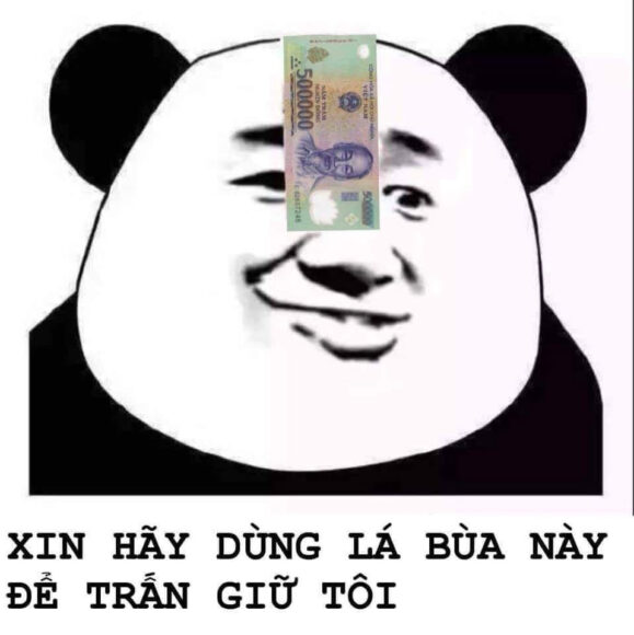 hình ảnh nhây gấu trúc