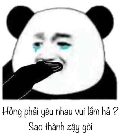 hình ảnh nhây meme