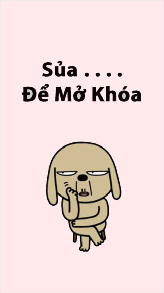 hình ảnh nhây sủa