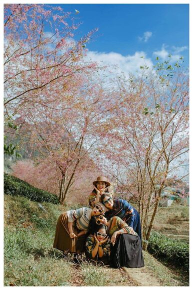 Hình ảnh nhóm bạn thân 5 người chụp ảnh giữa rừng xanh