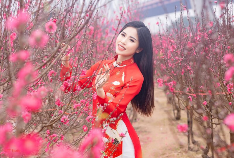 Hình ảnh Tết 2023 miền Bắc