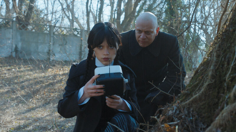 Hình ảnh Wednesday cực ấn tượng