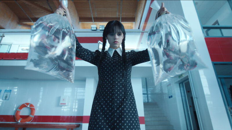 Hình ảnh Wednesday - nhân vật nữ chính cầm hai túi cá ăn thịt người