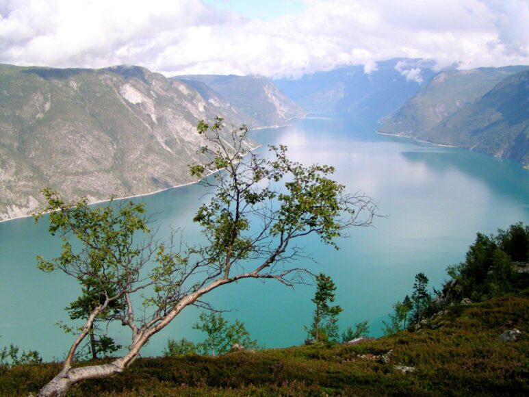 hình dòng sông mờ sương