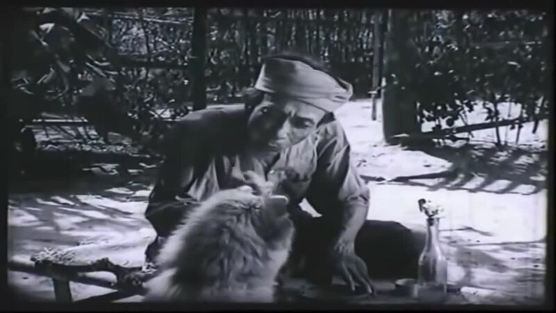 hình lão Hạc nựng cậu vàng