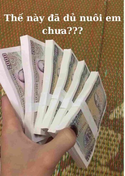 Hình tiền lẻ hài hước đủ nuôi em chưa
