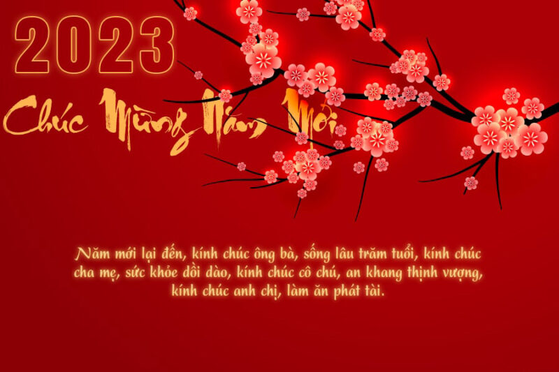 Thiệp chúc mừng năm mới Tết 2023 Quý Mão hoa Đào