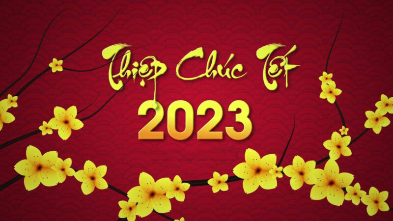 Thiệp chúc mừng năm mới Tết 2023 Quý Mão hoa Mai vàng