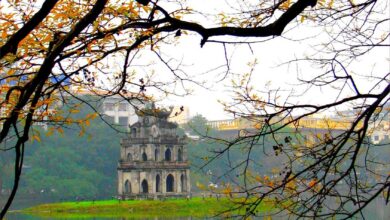 Hình ảnh tháp rùa