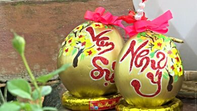 Vẽ dừa chưng tết