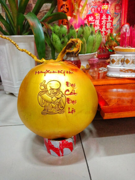 Vẽ dừa chưng tết đại cát đại lộc