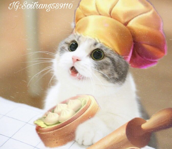 ảnh mèo liên quân dễ thương