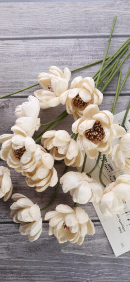 ảnh nền điện thoại đơn giản những cành hoa trắng