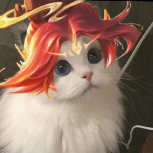 hình ảnh avatar mèo liên Quân nakroth