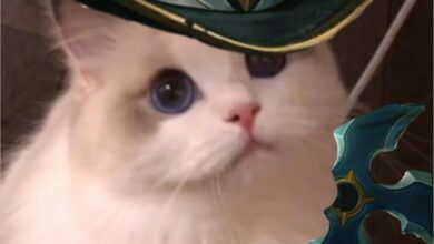 Hình ảnh mèo liên quân