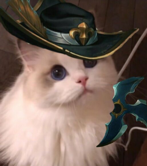 hình ảnh mèo liên quân đẹp