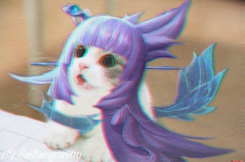 hình ảnh mèo liên quân độc